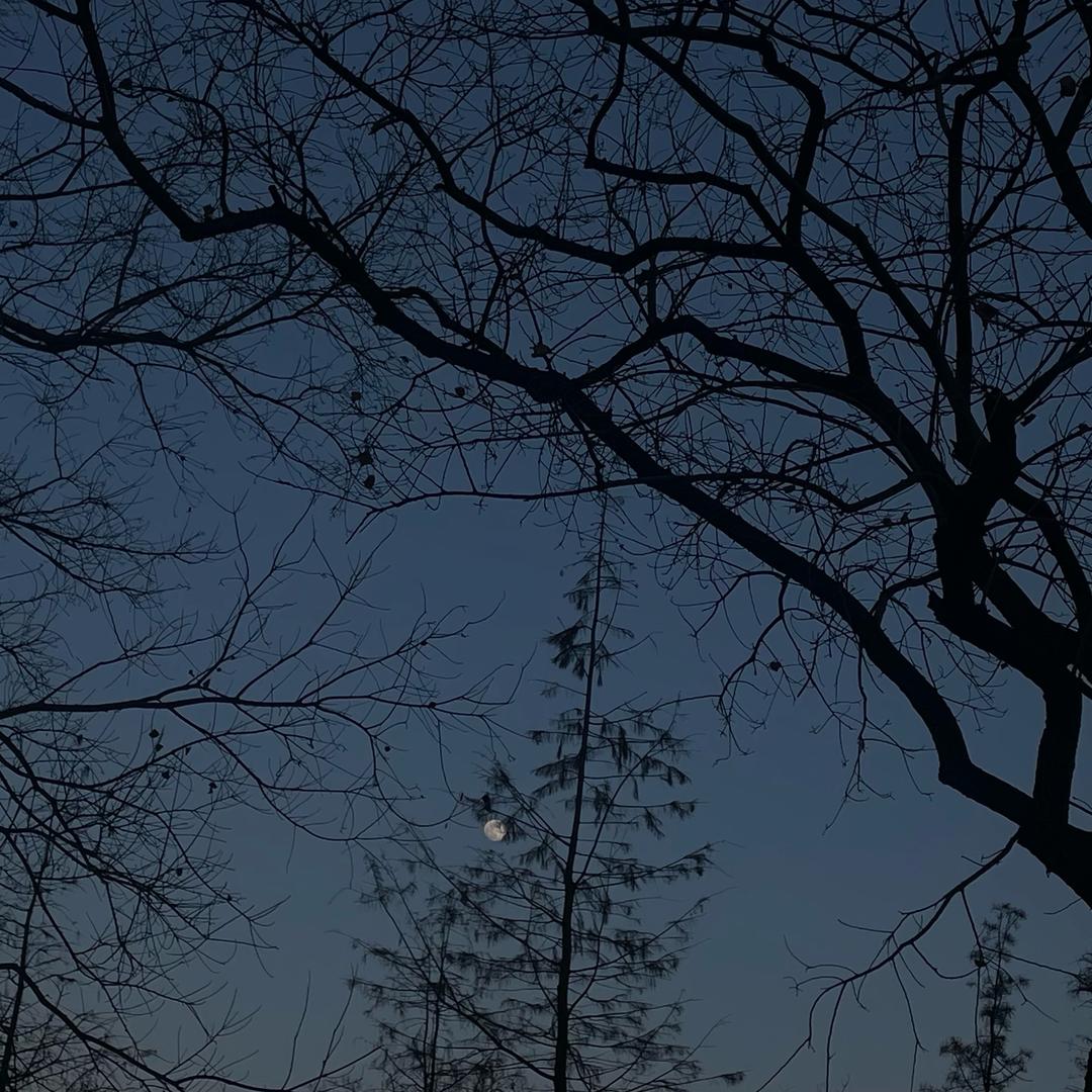 小星星～