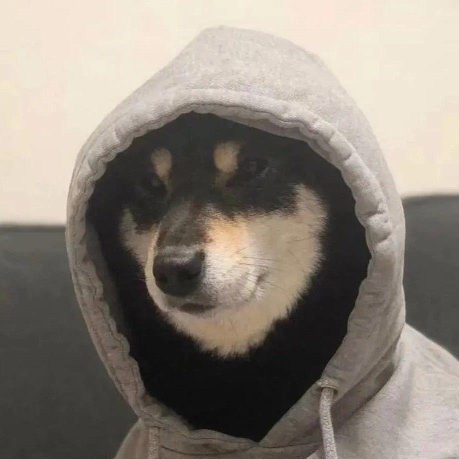 多铎