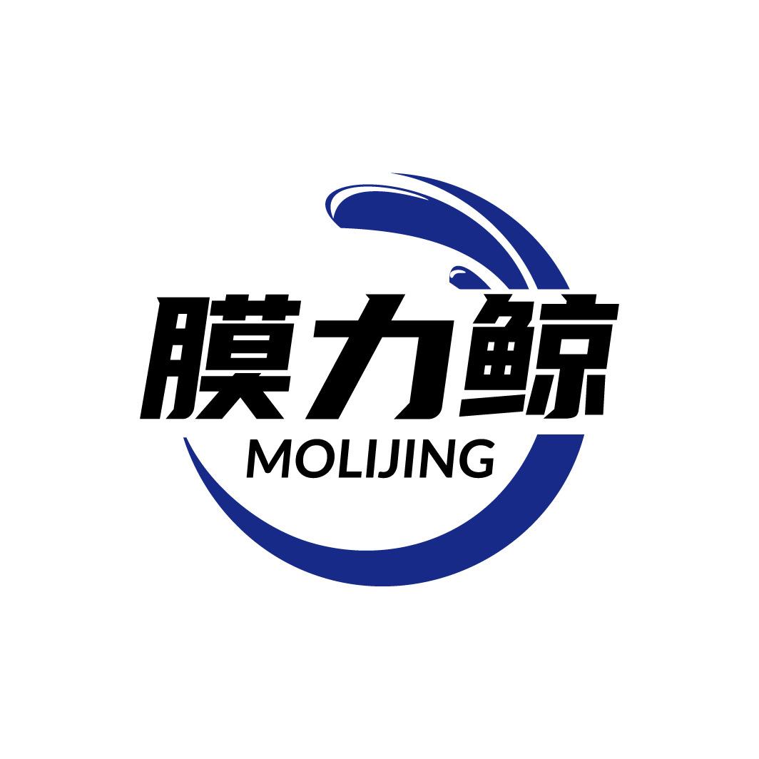 膜力鲸车膜总部