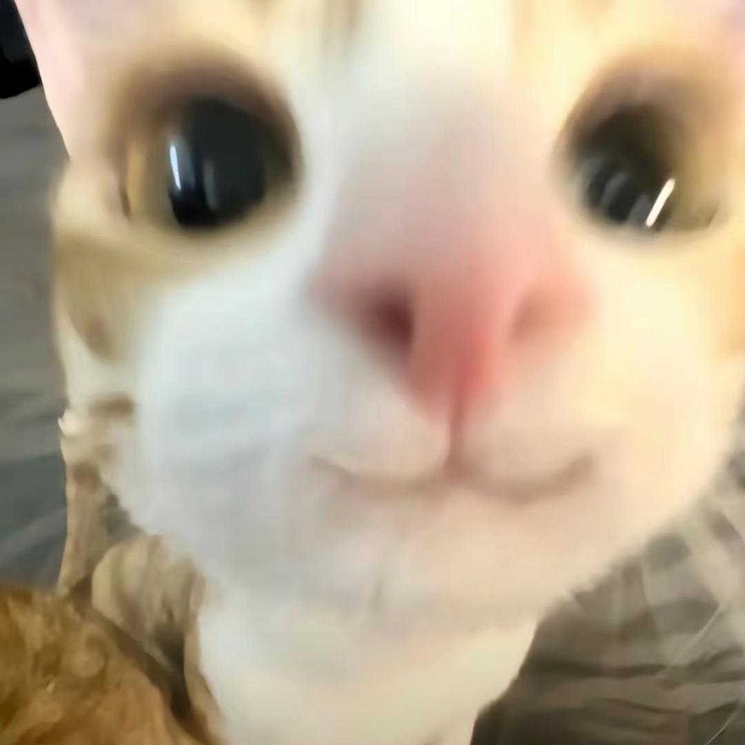 睡觉想的网名