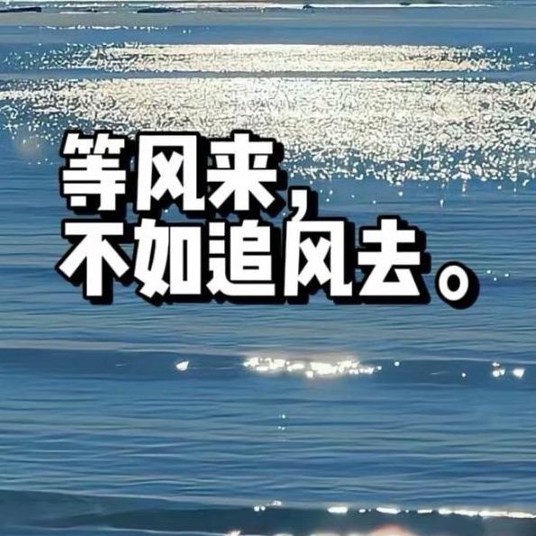 小港听风语