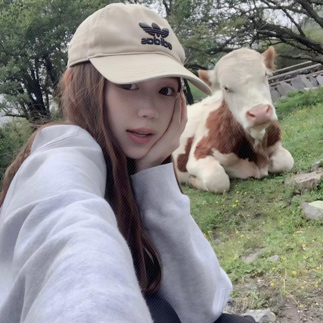 阿里嘎多美羊羊🐑