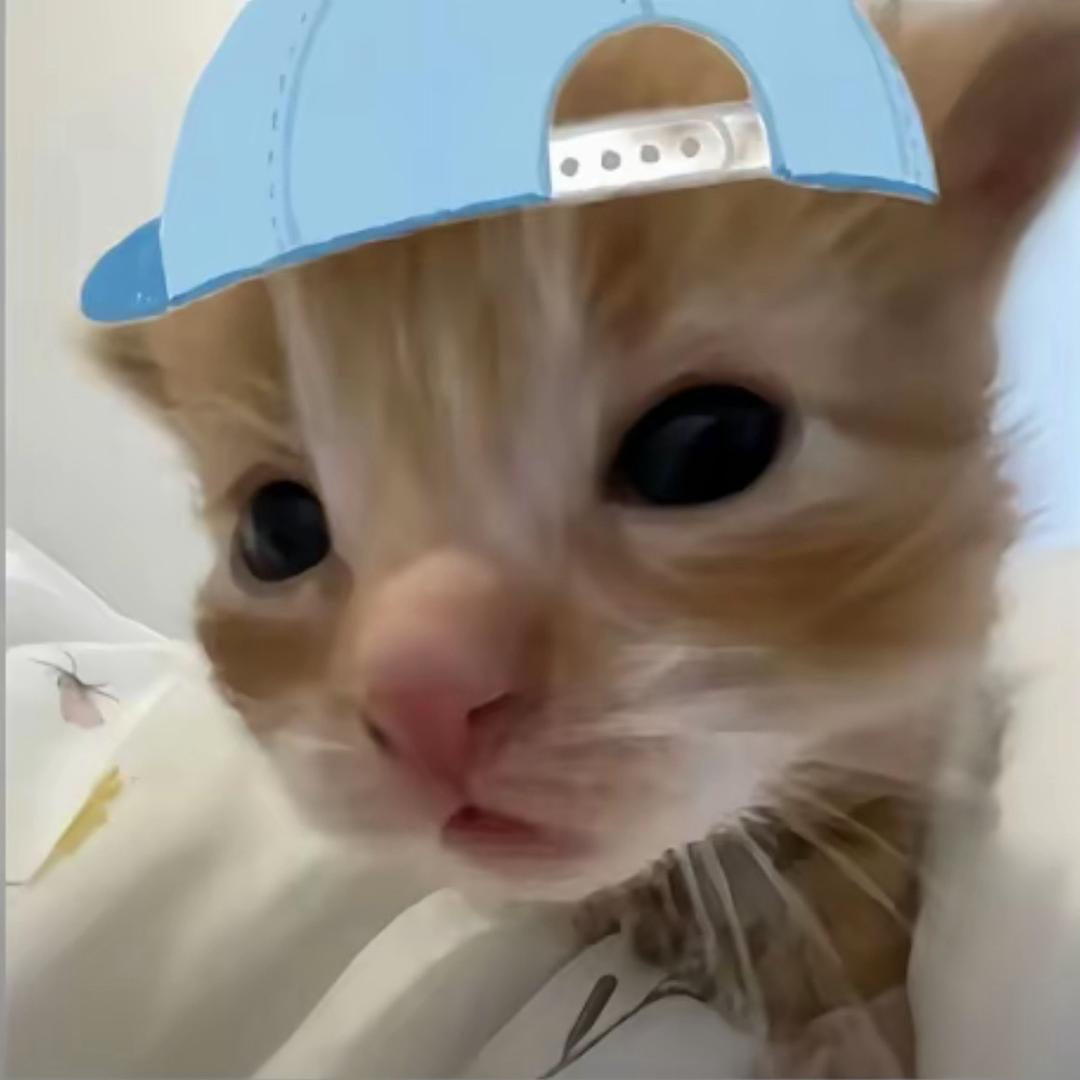 罒