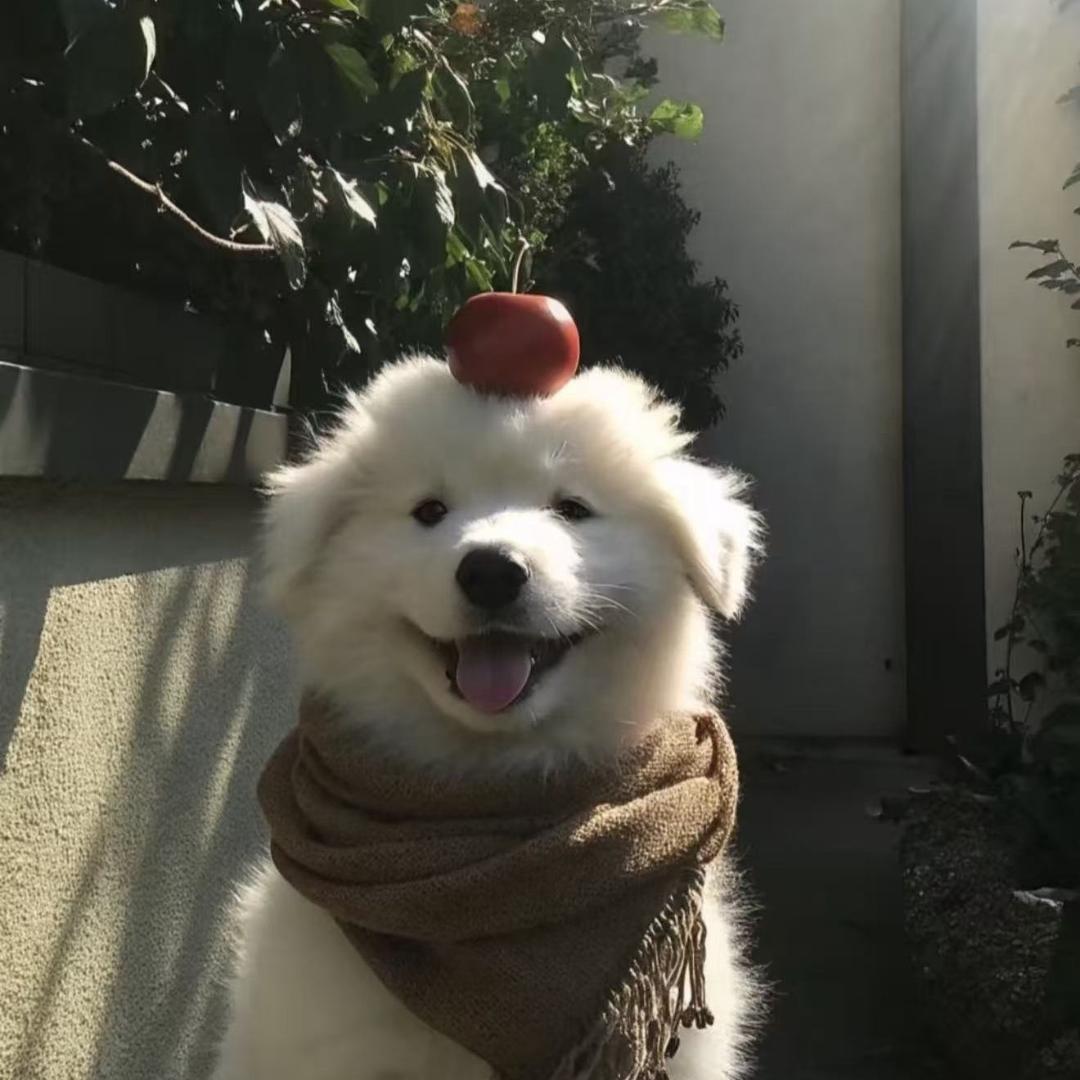 不用