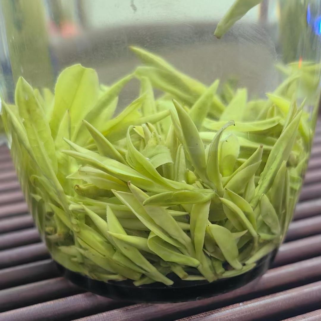 罗伟在木贾说种茶