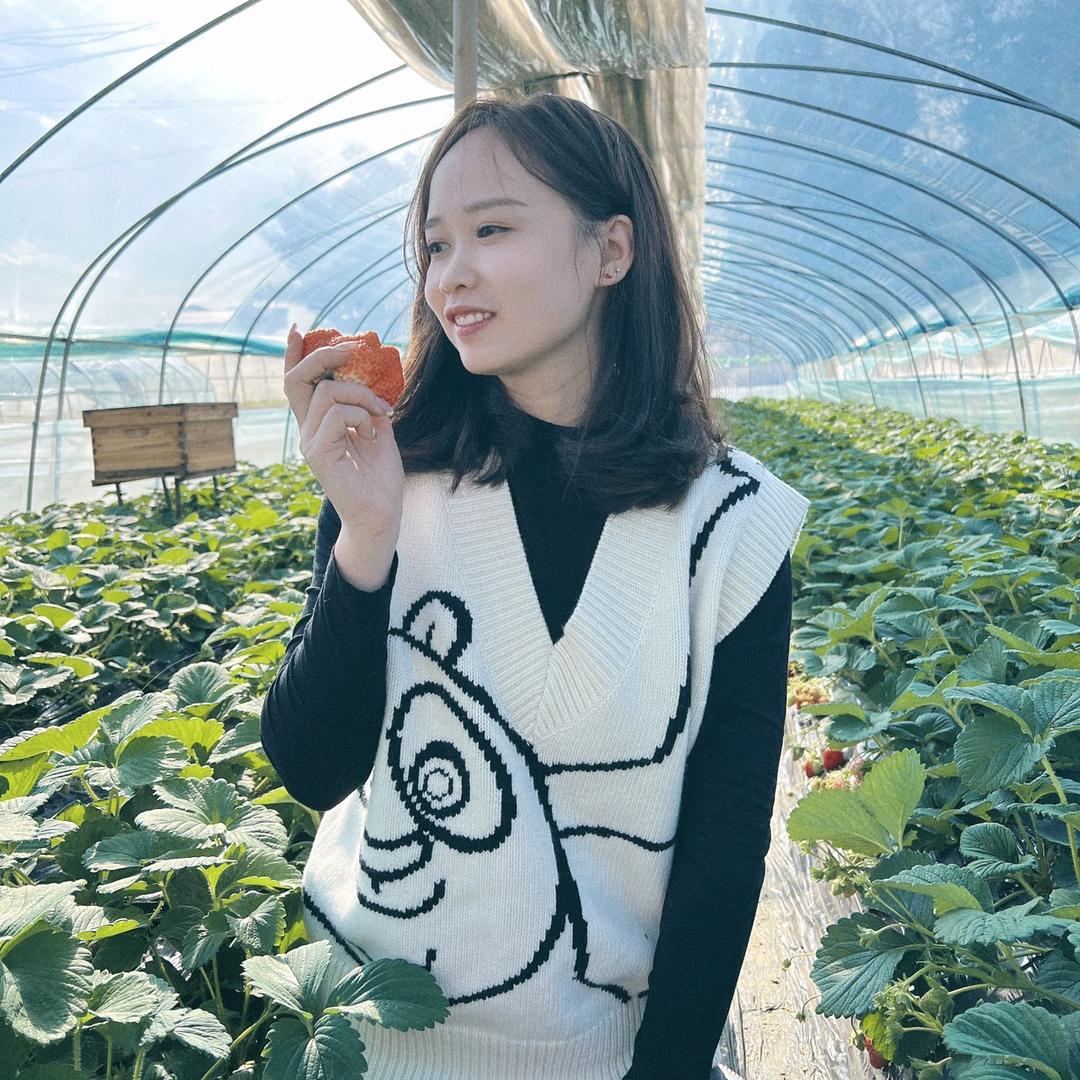 琪宝