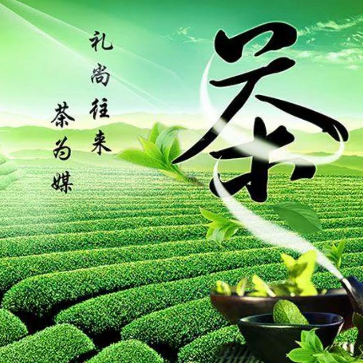 八马茶业（阳光路店）