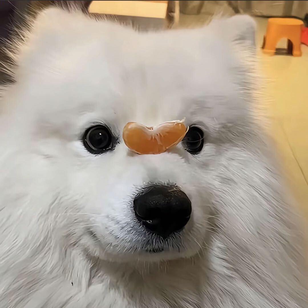 麻辣云吞
