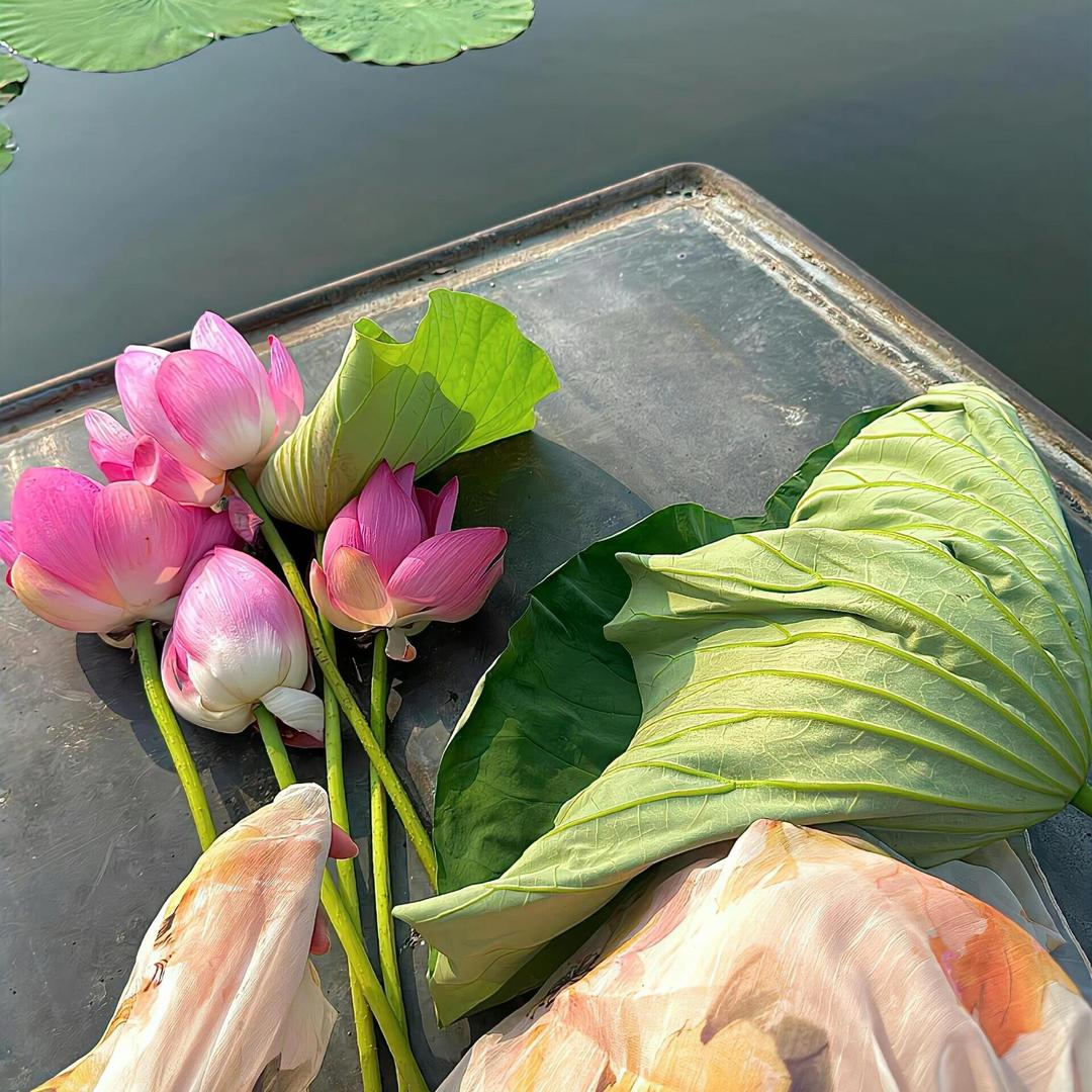 提拉米舒