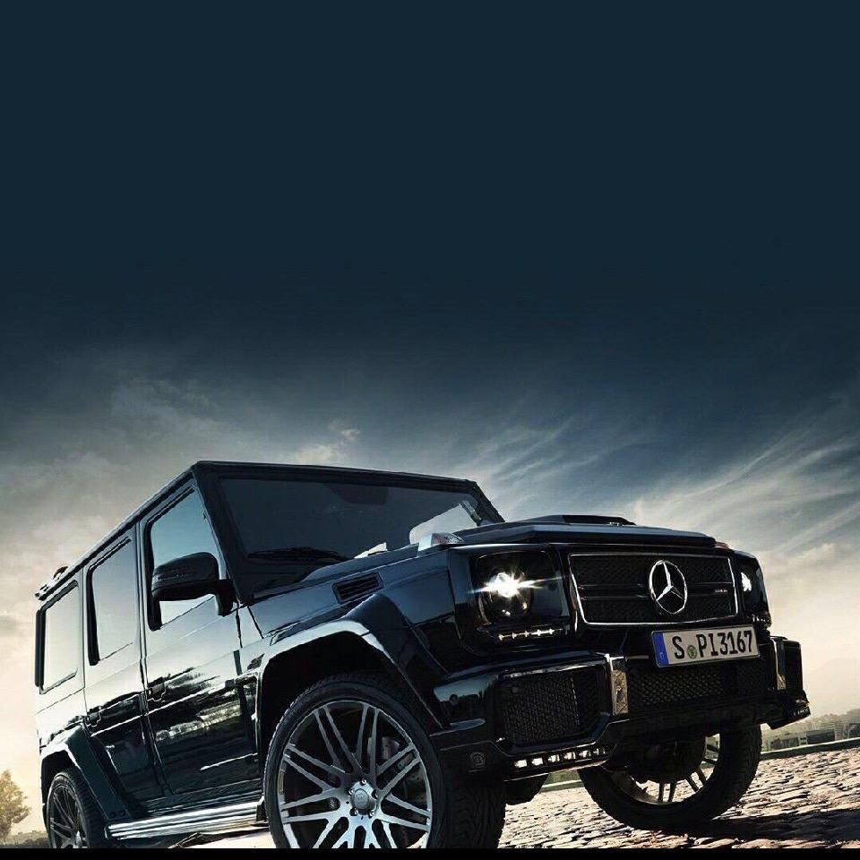 不锈钢电焊网 网片现货