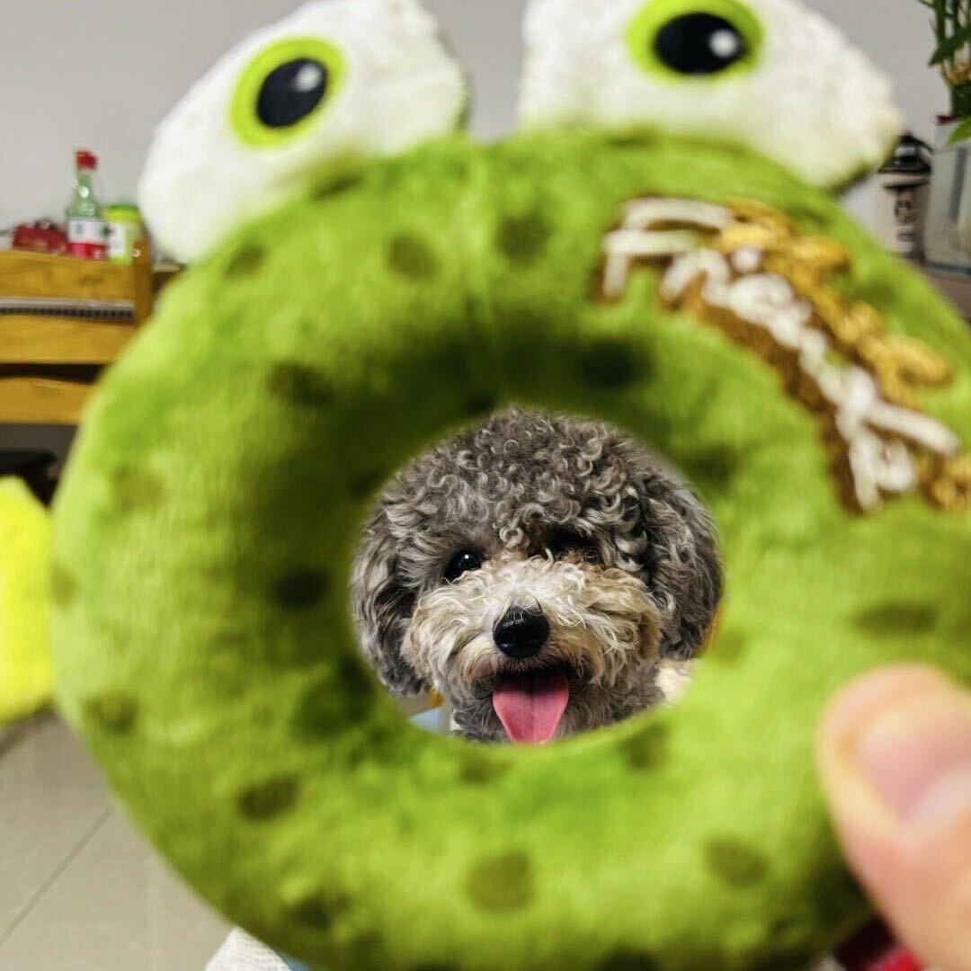 🌈☀️狮子座@小白羊🐏