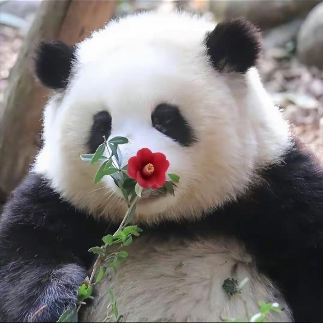 杭州落户规划