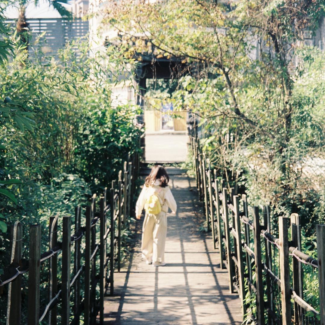 仪宝不是水