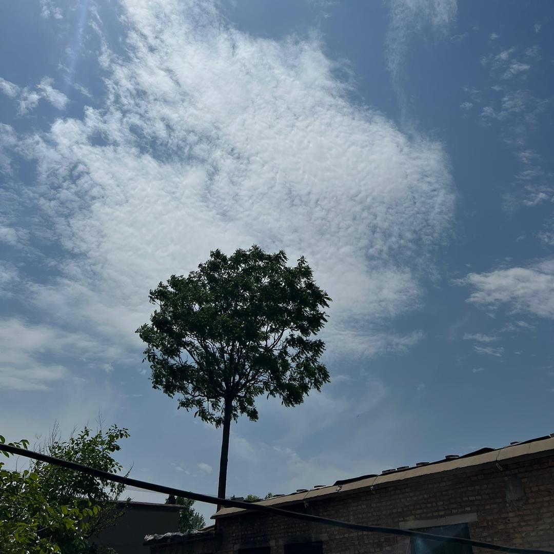 @全靠吼🦁️