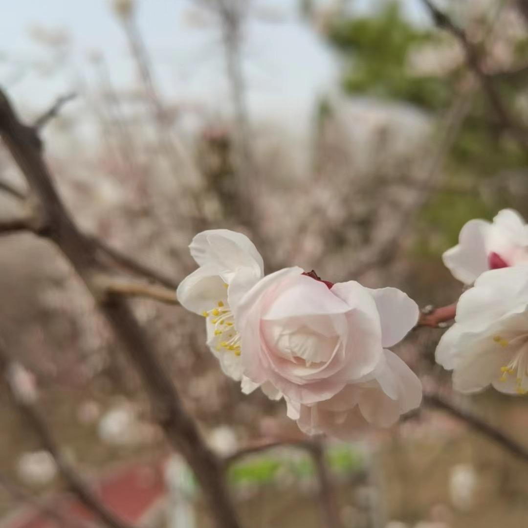 徐雨晴