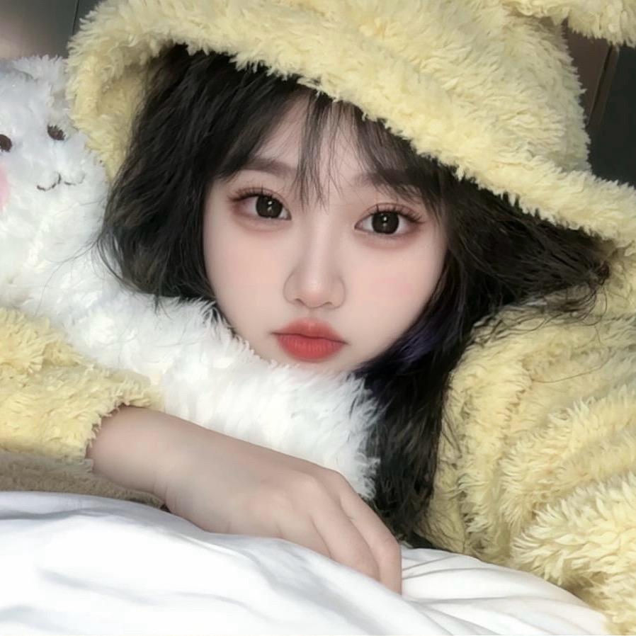 养猫的仙女