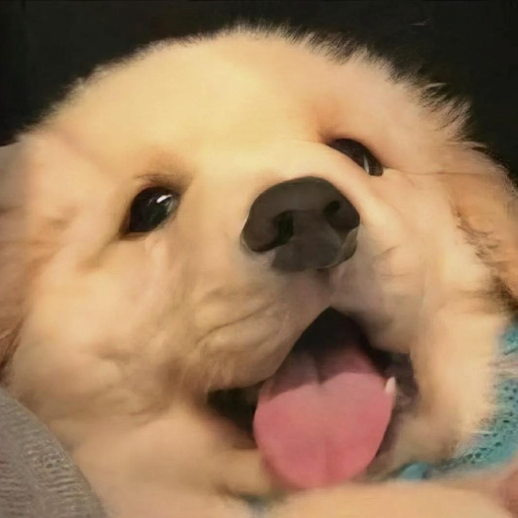 饭卷反内卷（见过十个勤天版）