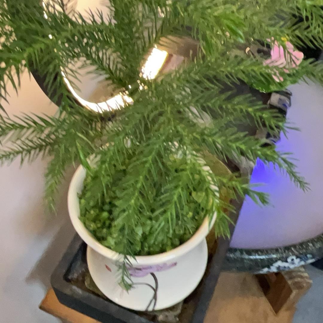 明天更灿烂