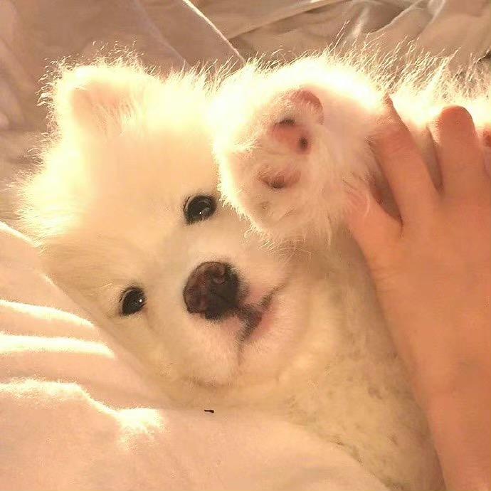 我吃饭的时候不饿