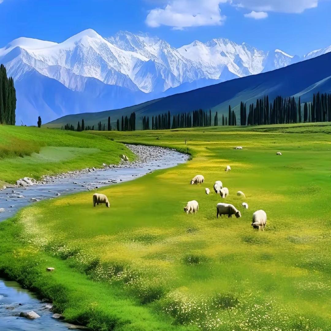 黄河口海鲜湾.