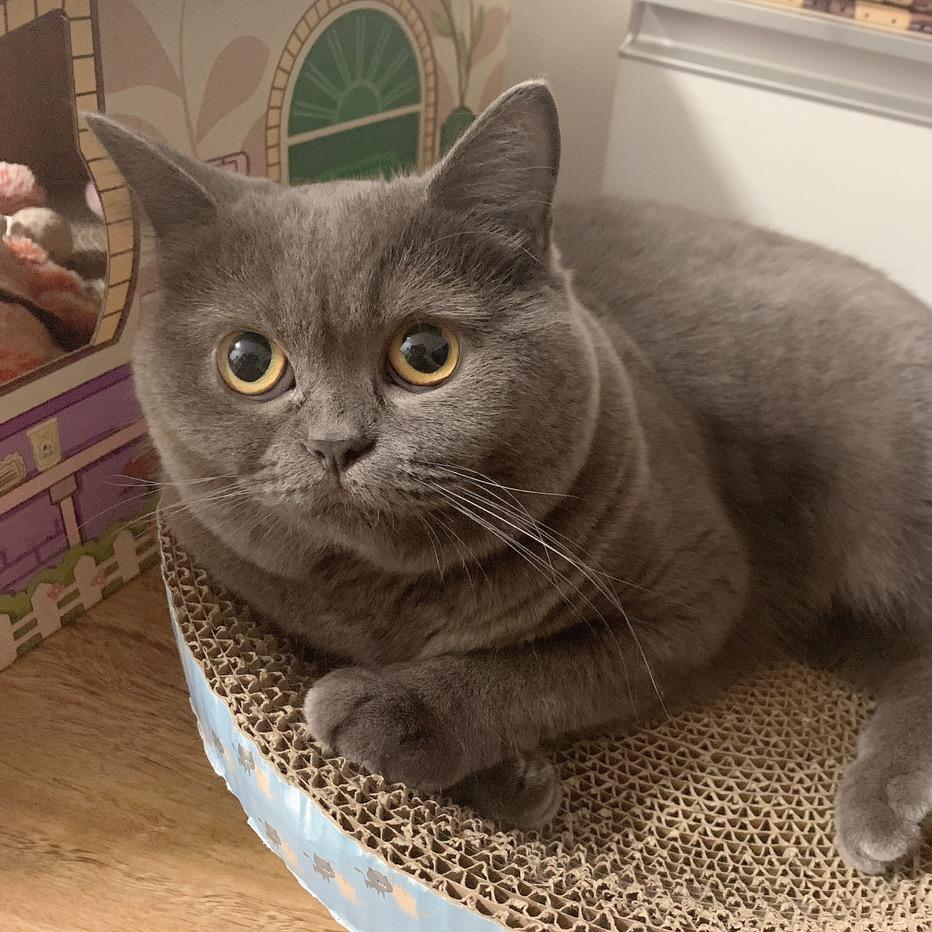 我要的只是你在我身边