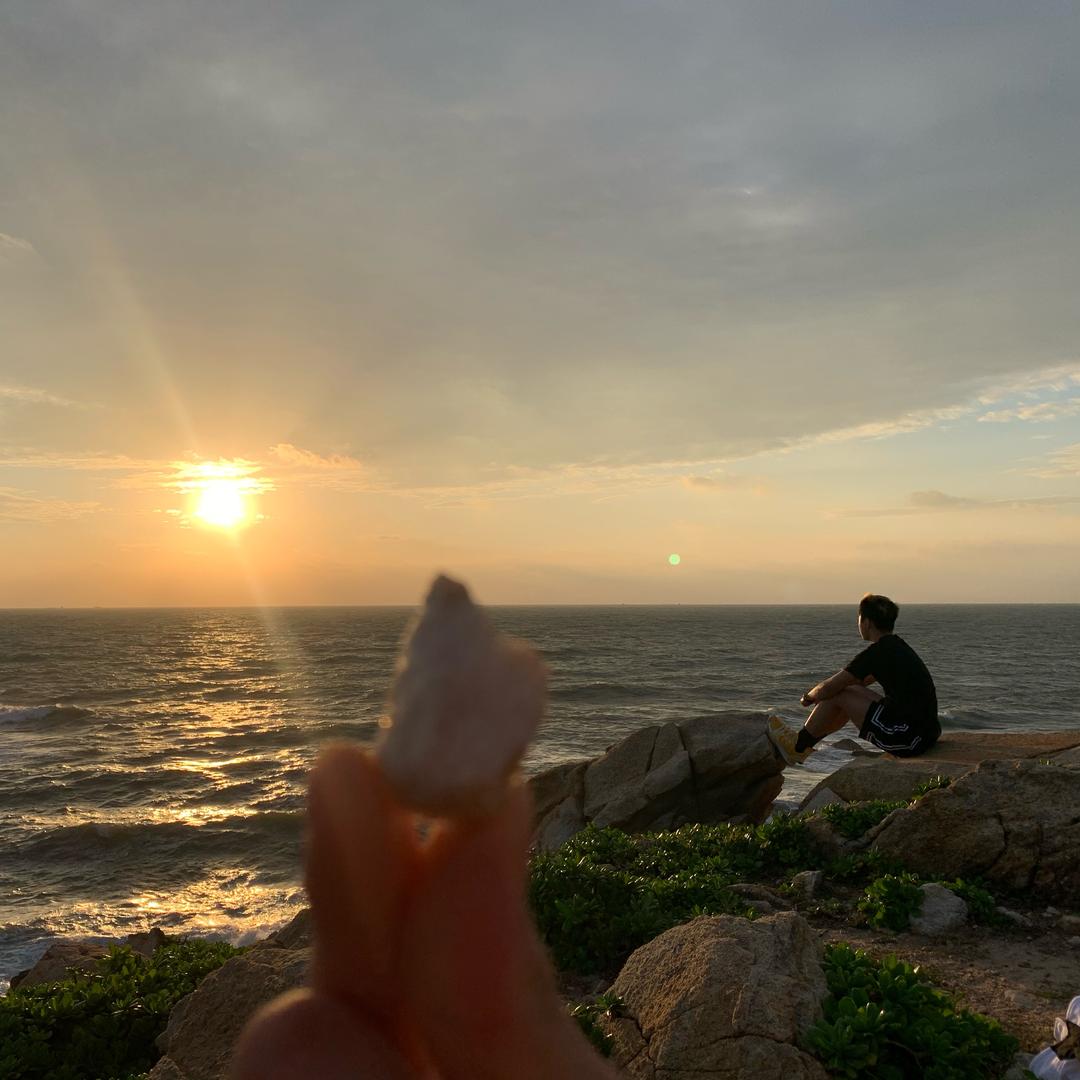 飞翔的荷兰人🇵🇸🕊️