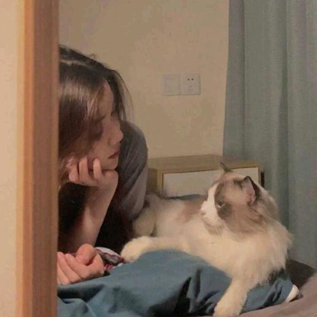 ʚ亲了个月亮