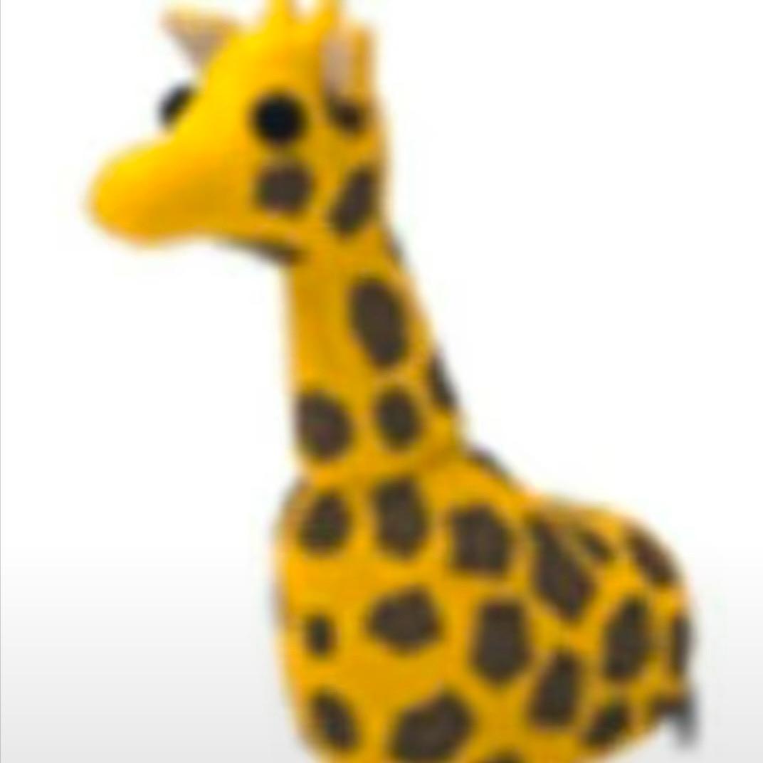 海滩长颈鹿®️