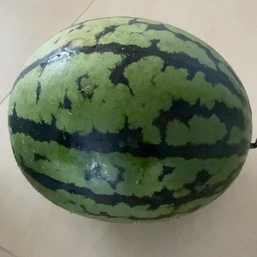 我是大西瓜