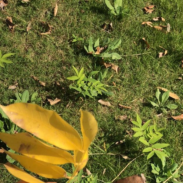 科技汽车健康生活