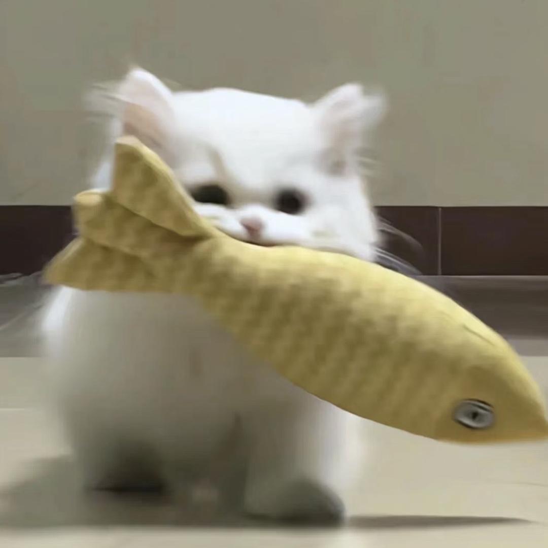 小樱ㅤ