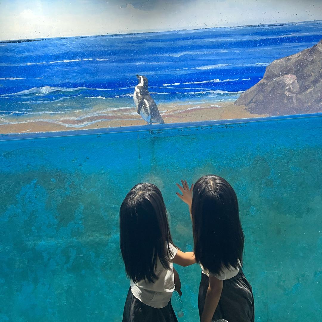 吉祥and如意