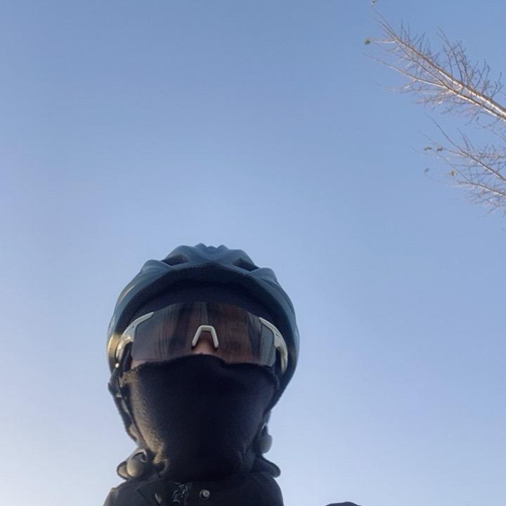 王努力。