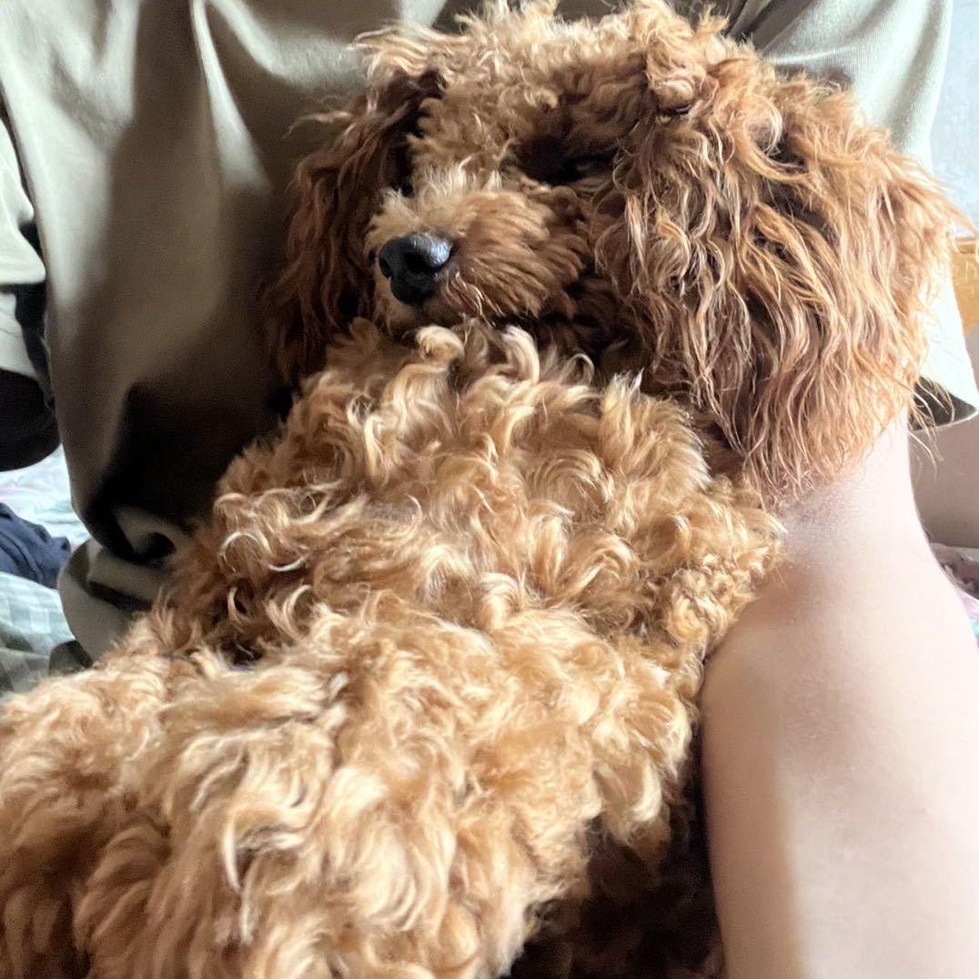 ZYY电竞俱乐部一凡