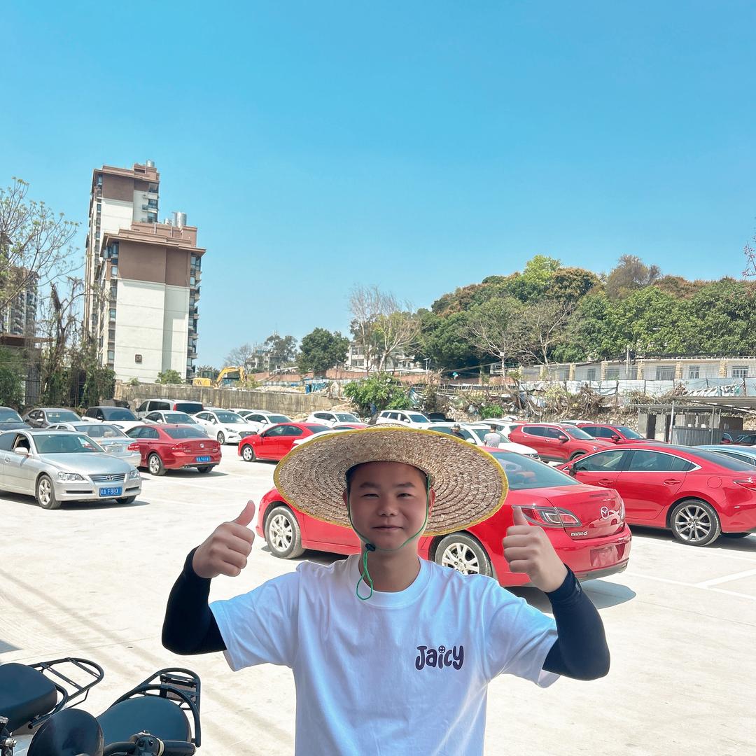 啊能的车