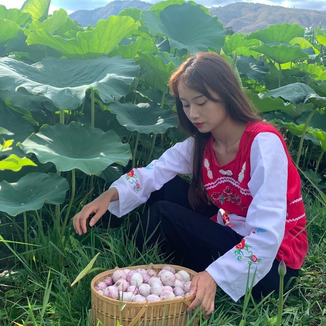 热宝果蔬旗舰店