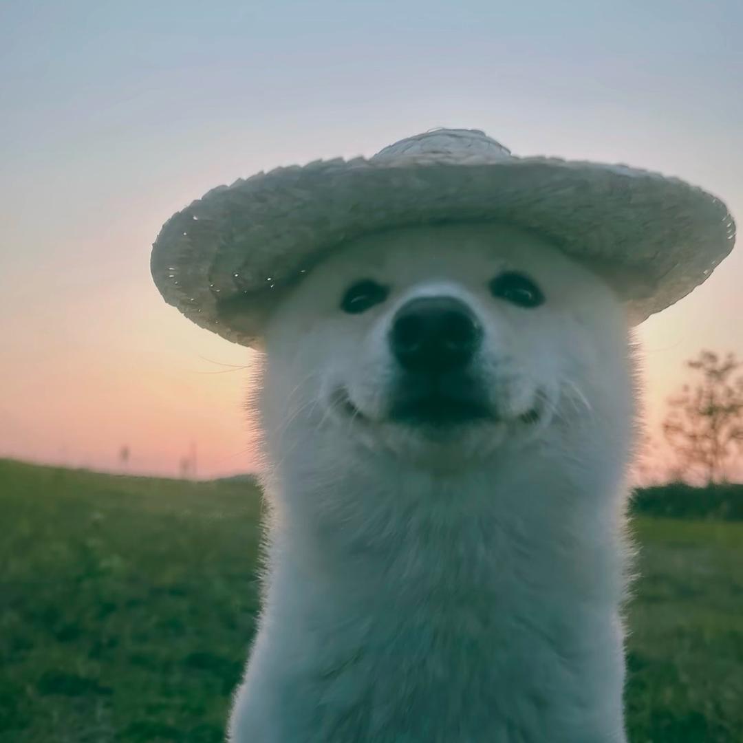一碗清汤猪油面