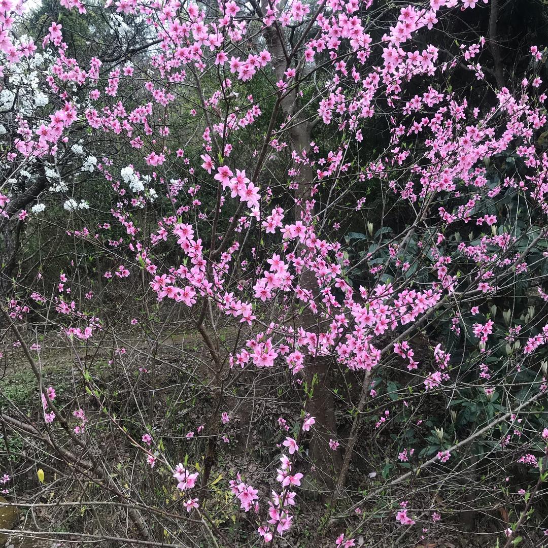 沧桑岁月