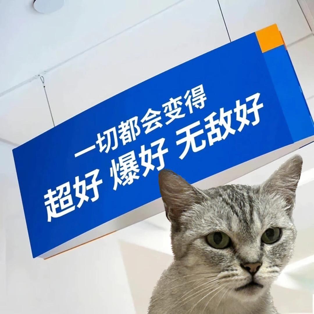 刘哈哈真是哈哈哈