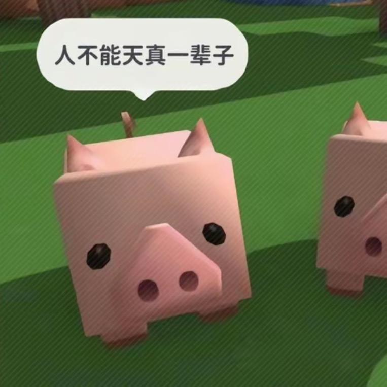 见过会走的番茄吗
