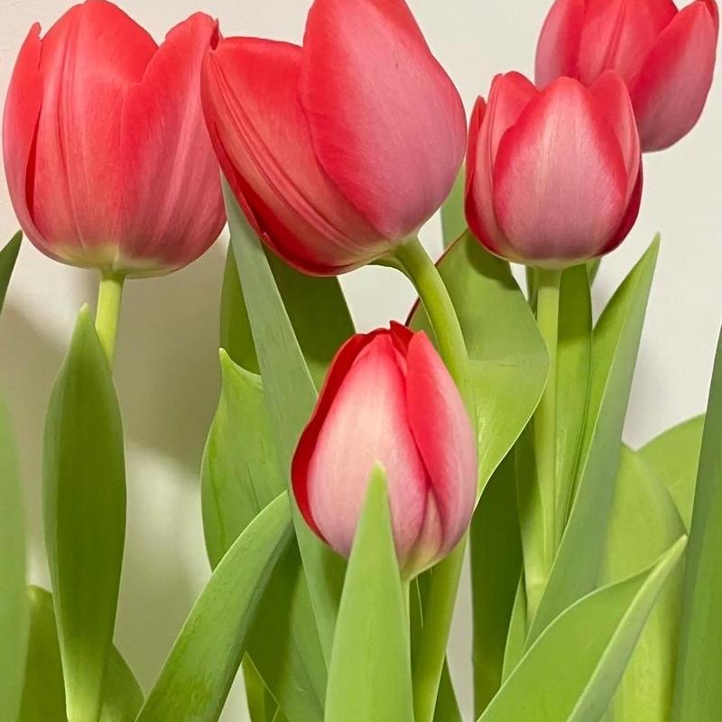 拿去花鲜花销售