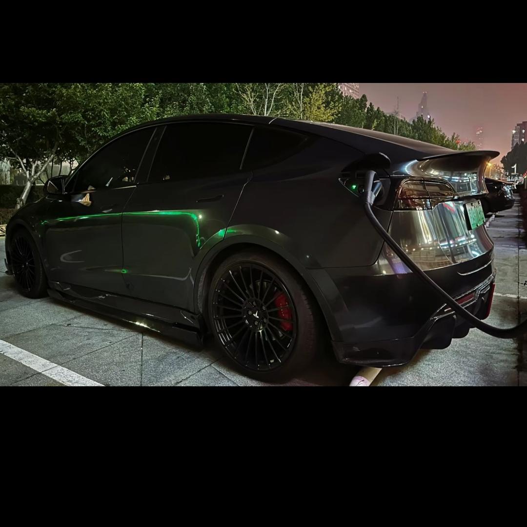 洋杨