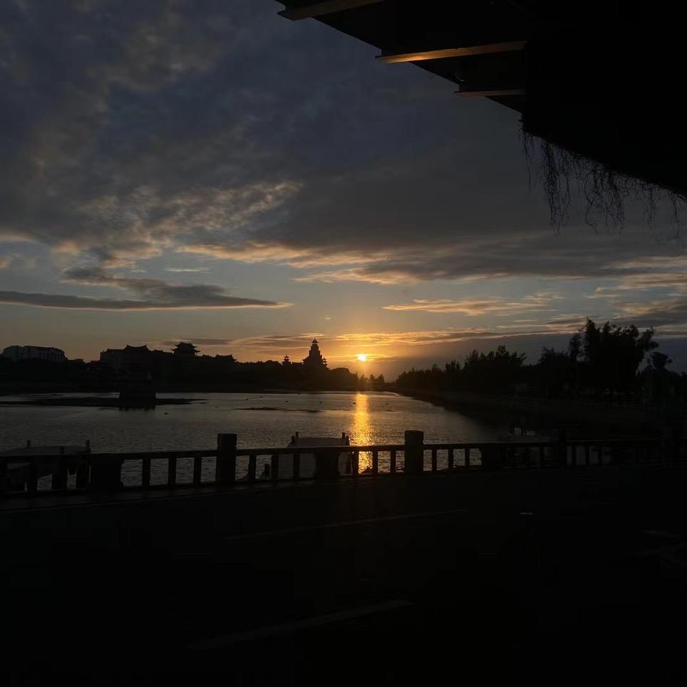 悦悦