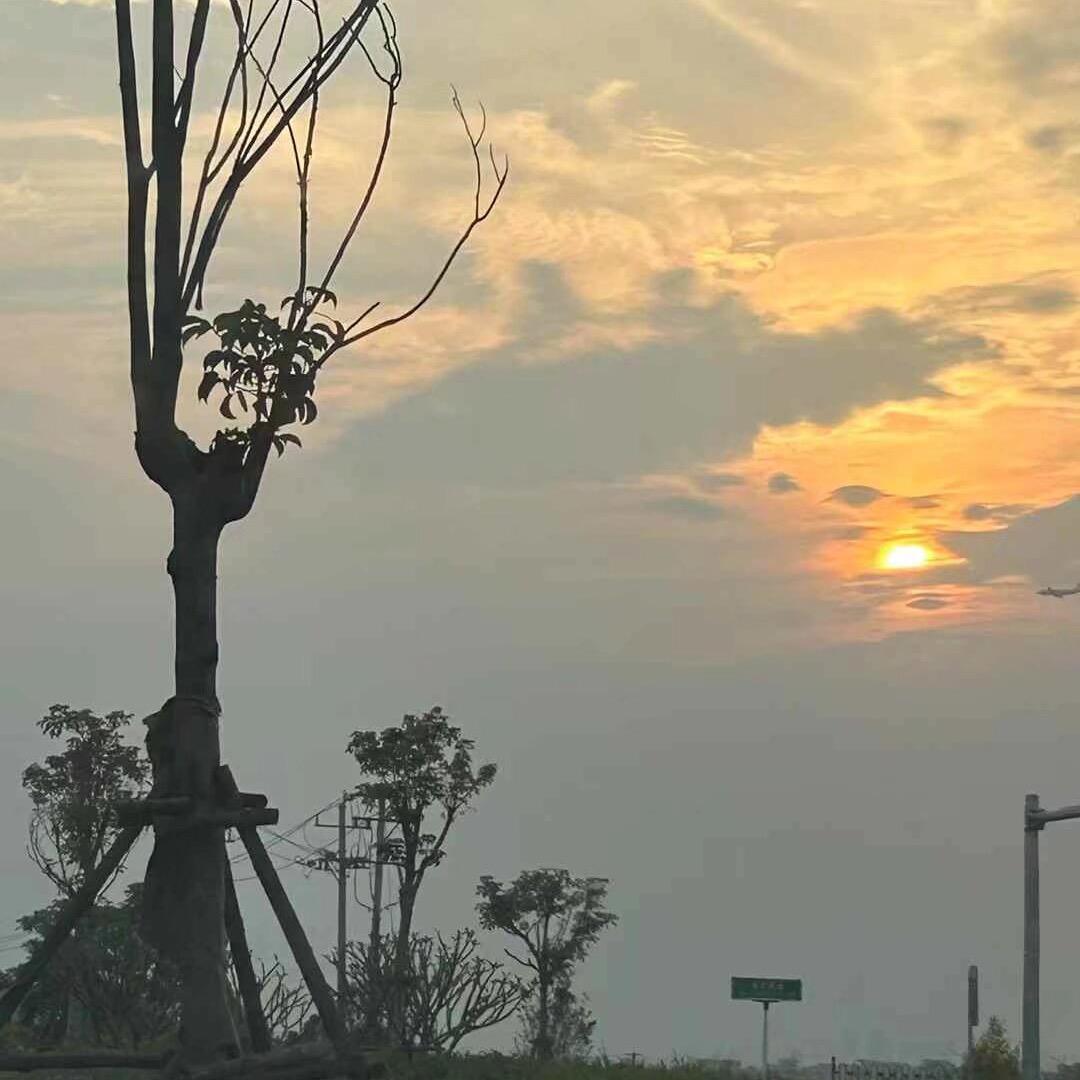 @ಢ᭄岁月🍒静好