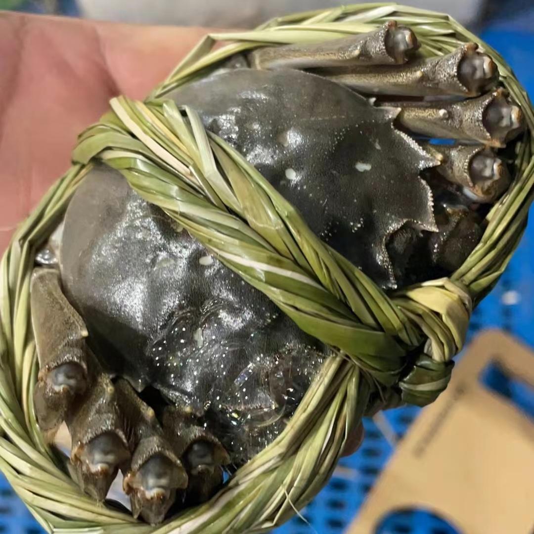 陈大明精品大闸蟹