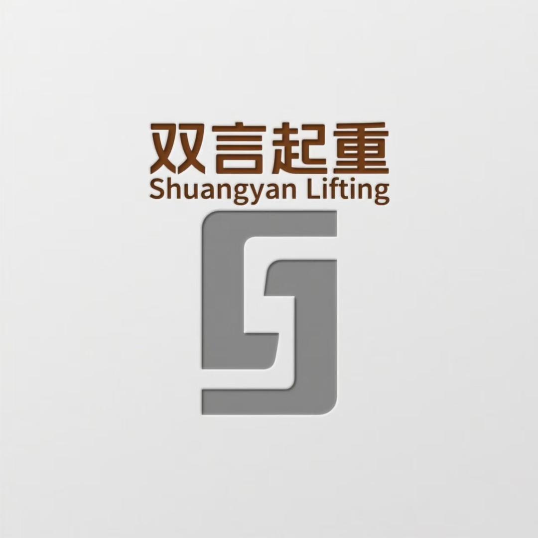 双言起重精选店