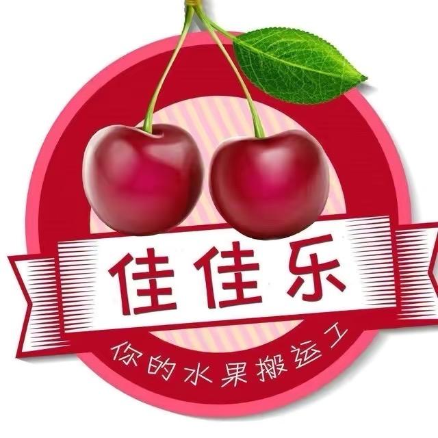 琼海佳佳乐纯鲜榨果汁水果