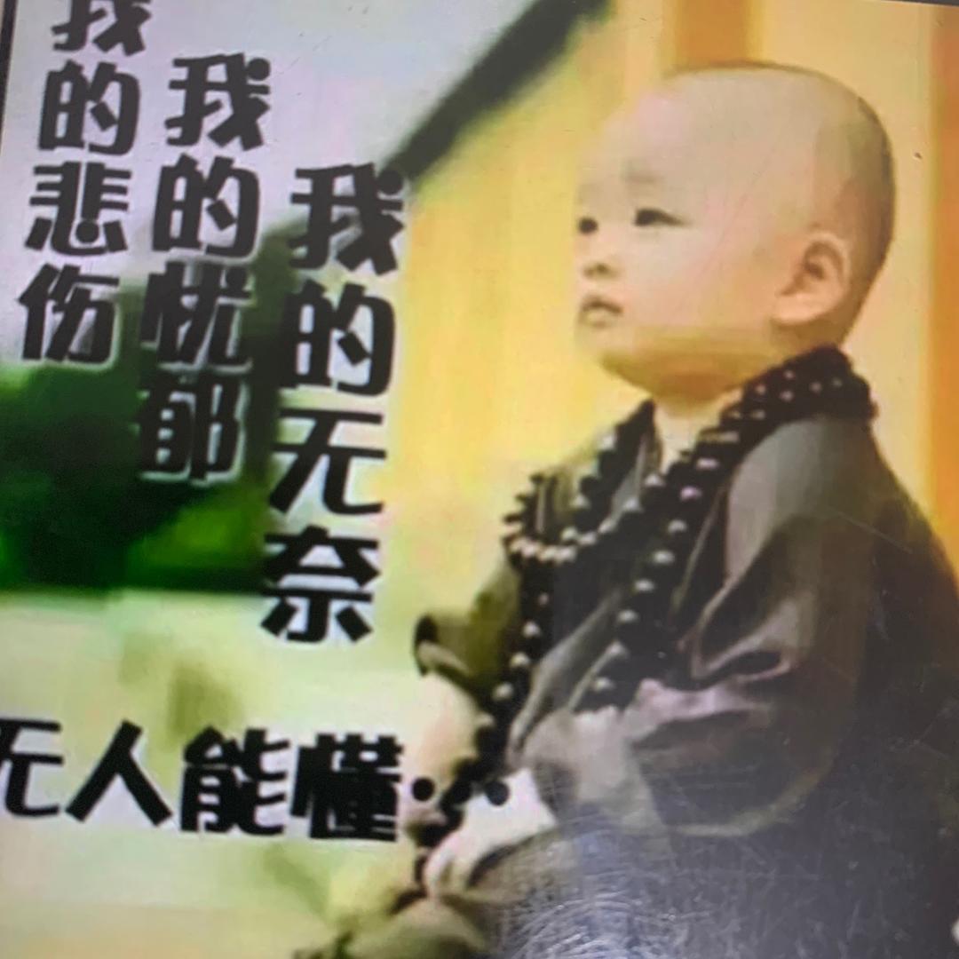 流浪