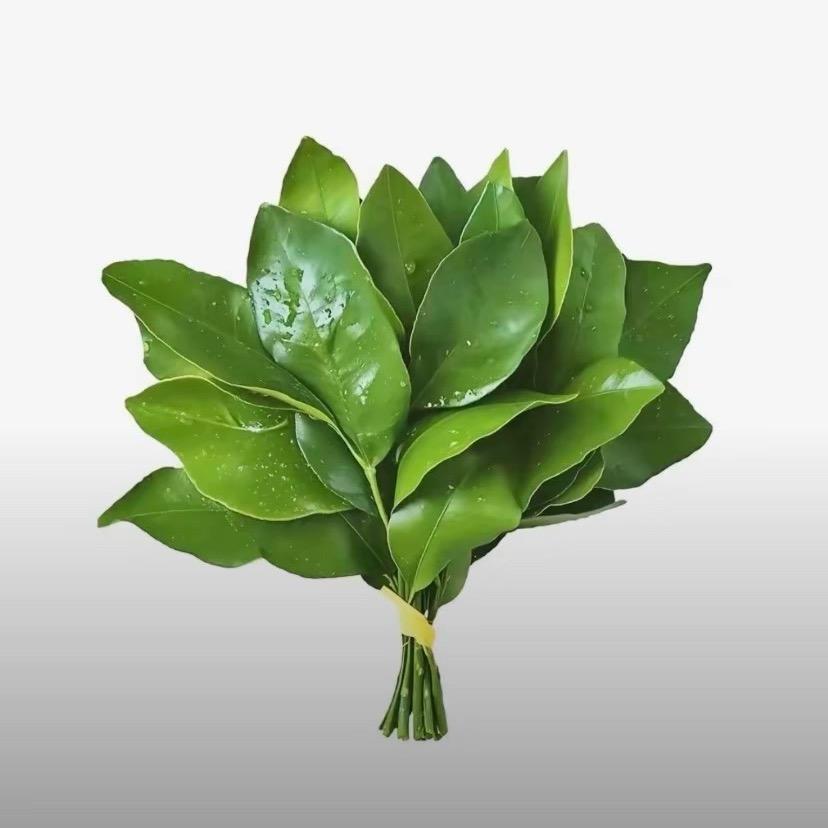 菜菜好物分享集📔