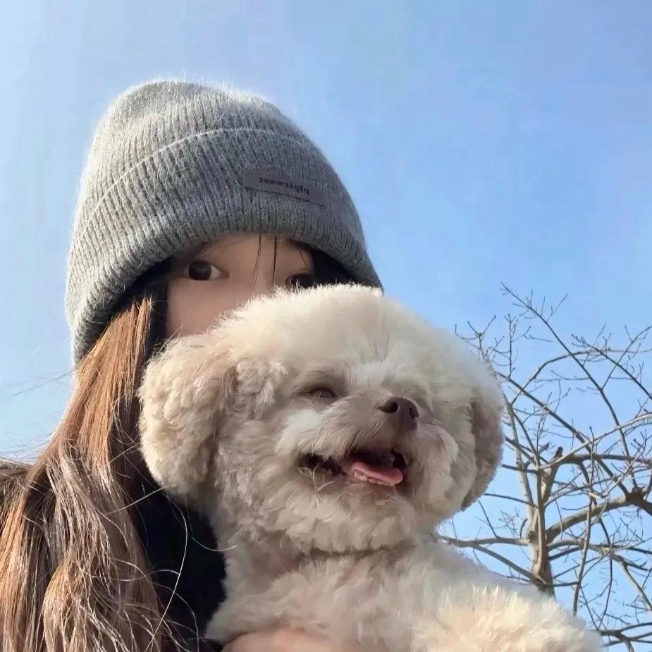 人傻嘴不甜长的不美还没钱